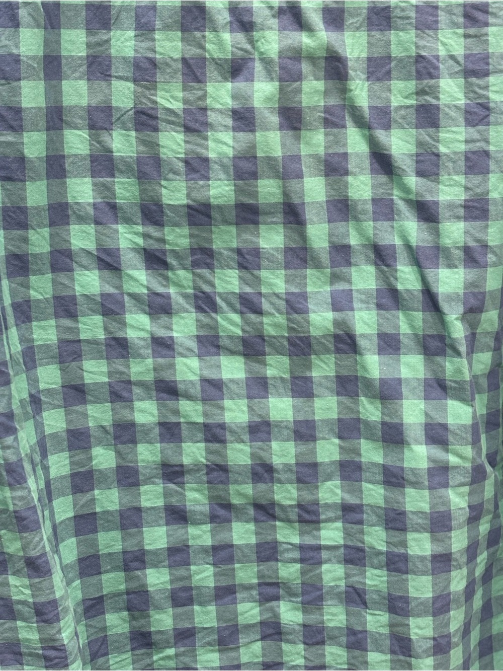 Patagonia Green and Blue Gingham Button-Down Shirt - Picture 5 of 5